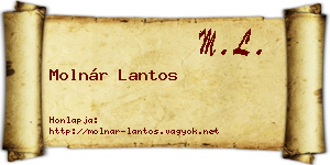 Molnár Lantos névjegykártya